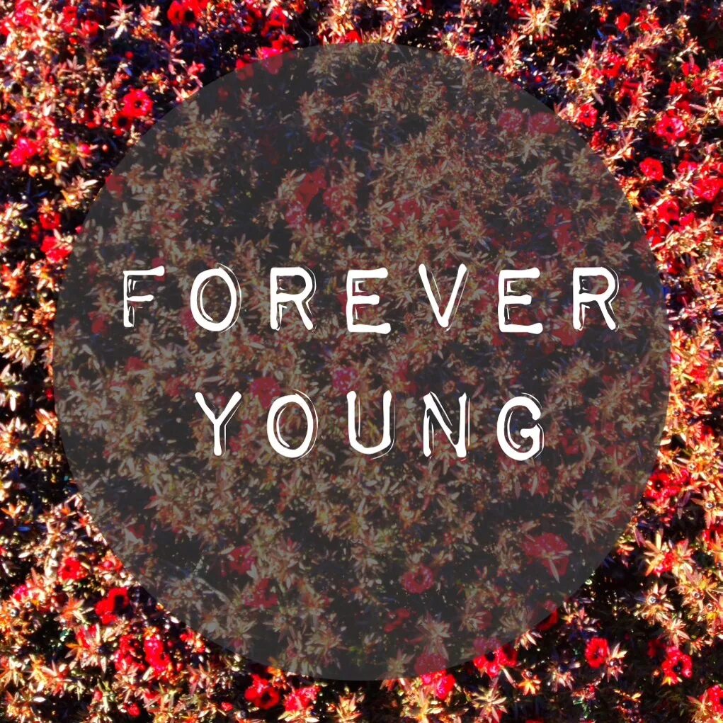 Песня молодой навсегда. Forever young картинки. картинки с надписью forever. вечно молодые картинки. вечно молодой на английском.