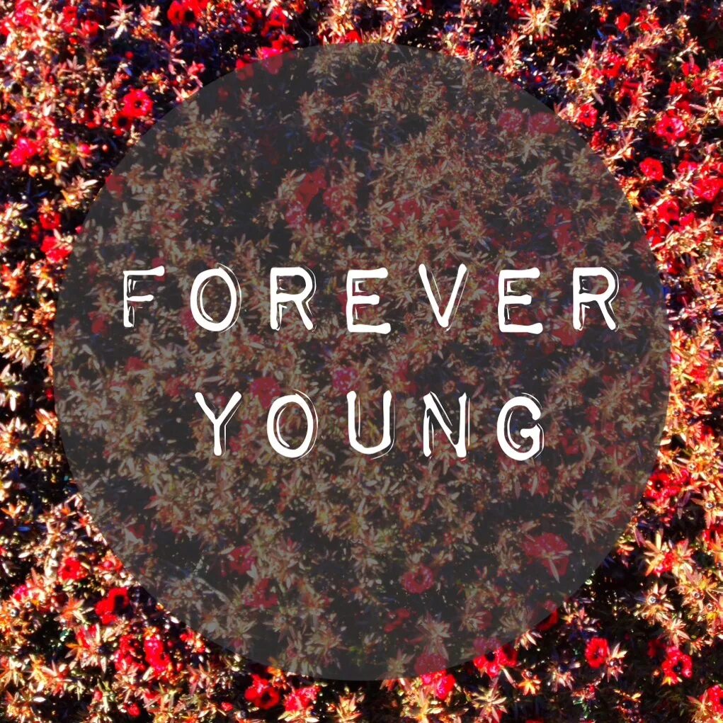 Forever young картинки. Открытка вечно молодые. Навечно молодые Forever young. Картинки с надписью Forever. Нужна текст янг