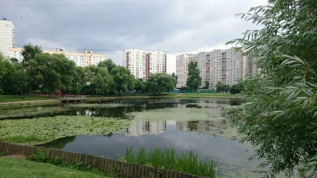 Сайты северное медведково. Пруд в Южном Медведково. Южное Медведково Ясный проезд. Пруд на Ясном проезде. Пруд на Ясном проезде Южное Медведково.