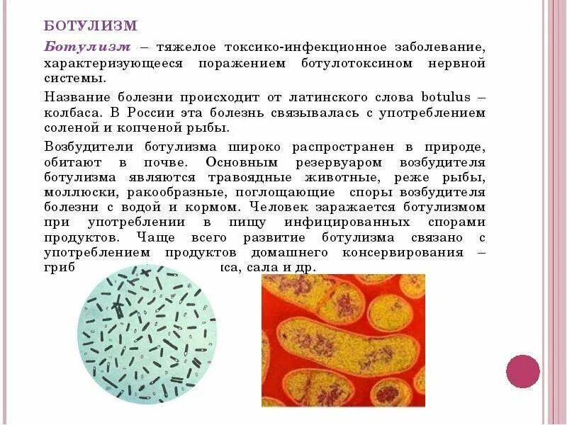 Слово болезнь происходит от слова. Возбудитель инфекции ботулизм симптомы. Палочка ботулизма симптомы. Ботулизм презентация инфекционные болезни. Условия возникновения ботулизма.