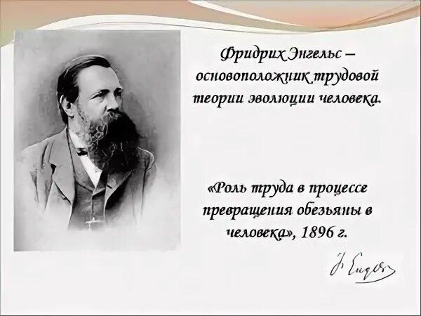 Трудовая теория Фридриха Энгельса. Роль труда в процессе превращения обезьяны в человека.