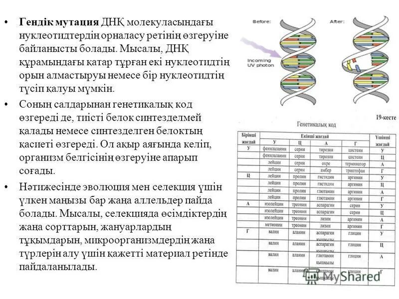 Гендік инженерия дегеніміз не. Мутация презентация қазақша. Мутациялар. Гендік мутация. Мутация презентация қазақша.