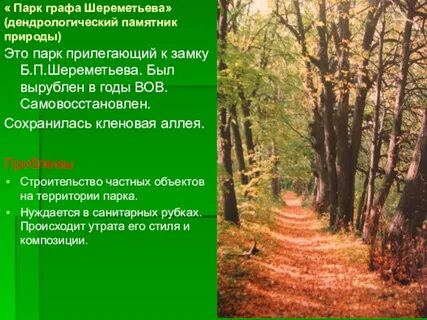 Текст 1 я жил на окраине парка