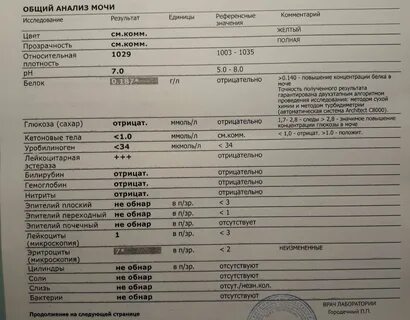34 недели беременности белок в моче