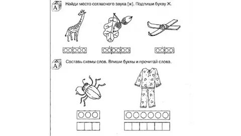 Составьте ж