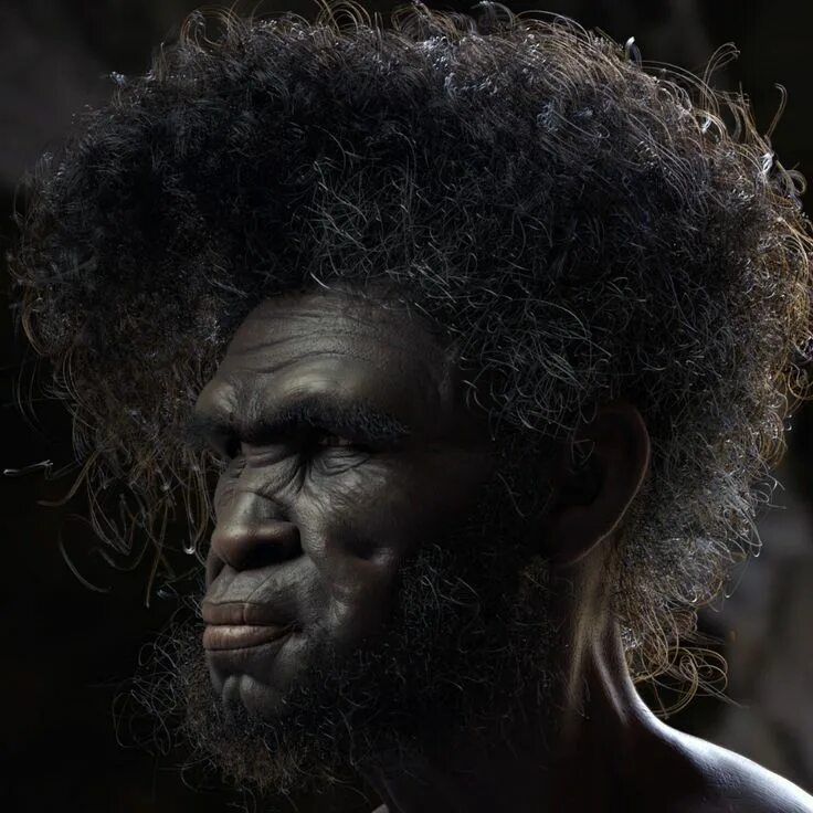 Хомо сапиенс. Человек идалту. Хомо сапиенс разумный. Гомосапиенс википедия. Человек идалту.