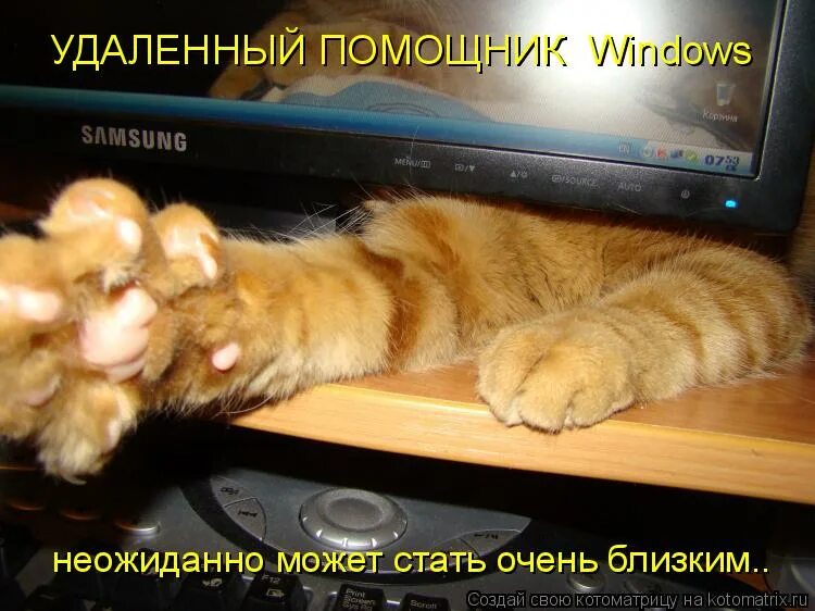 стало очень. бесит цитаты. злопамятная цитаты. баба стала очень самостоятельным человеком. анекдот про рыбака и русалку.