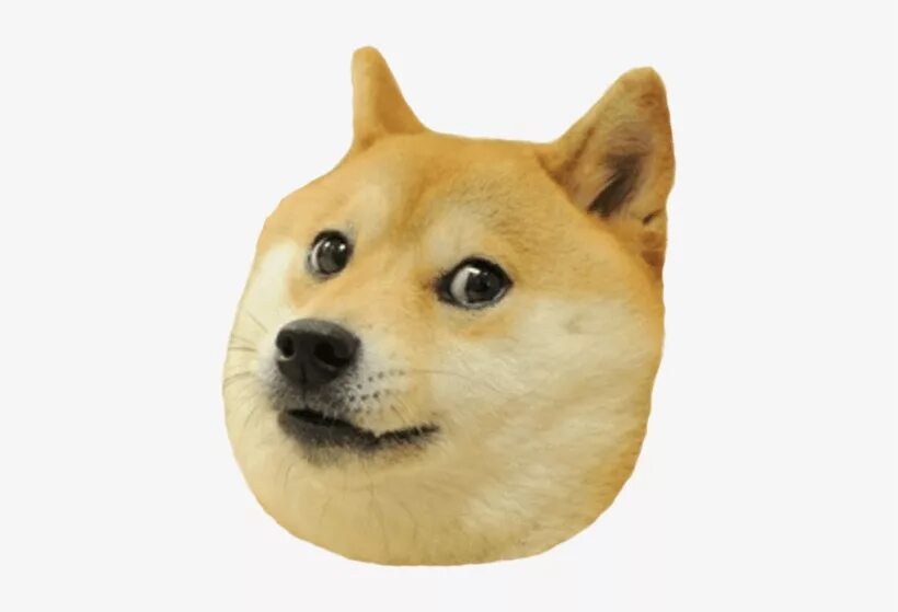 Грустный Doge. Сиба ину wow. Маленький дог. Doge плачет. Such ru