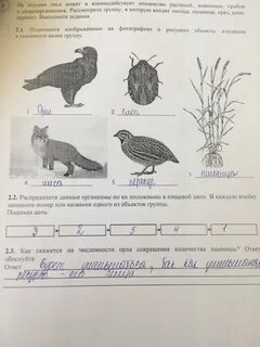 Избыток это 4 класс впр ответы