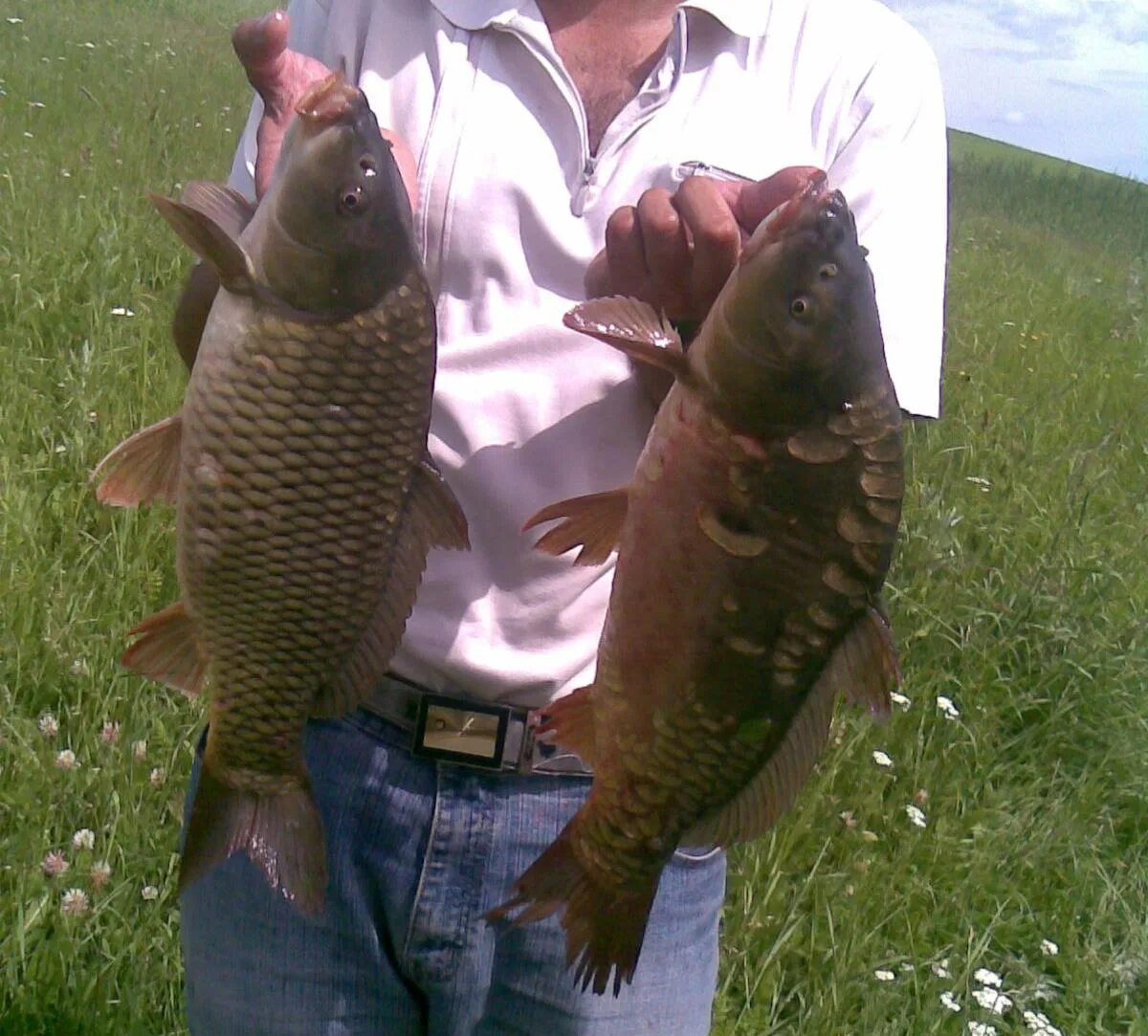 Хутор кизилов ставропольский край рыбалка. Рыбалка на кмв. Кизиловские пруды ставропольский край рыбалка. Новопятигорское озеро рыба. Пруд предгорный северский район.