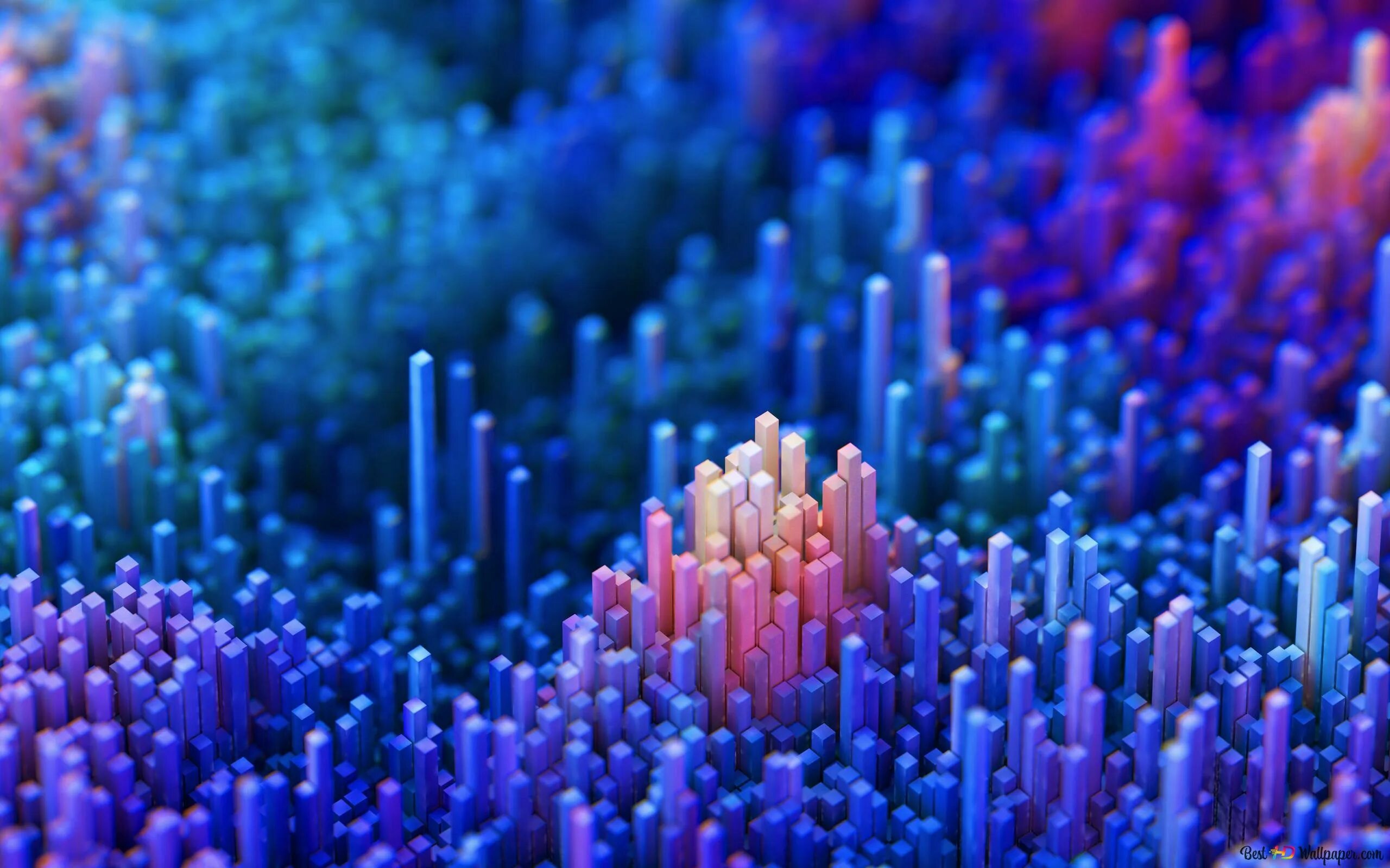 8 k 3