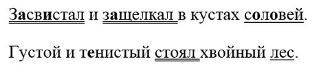 Засвистал