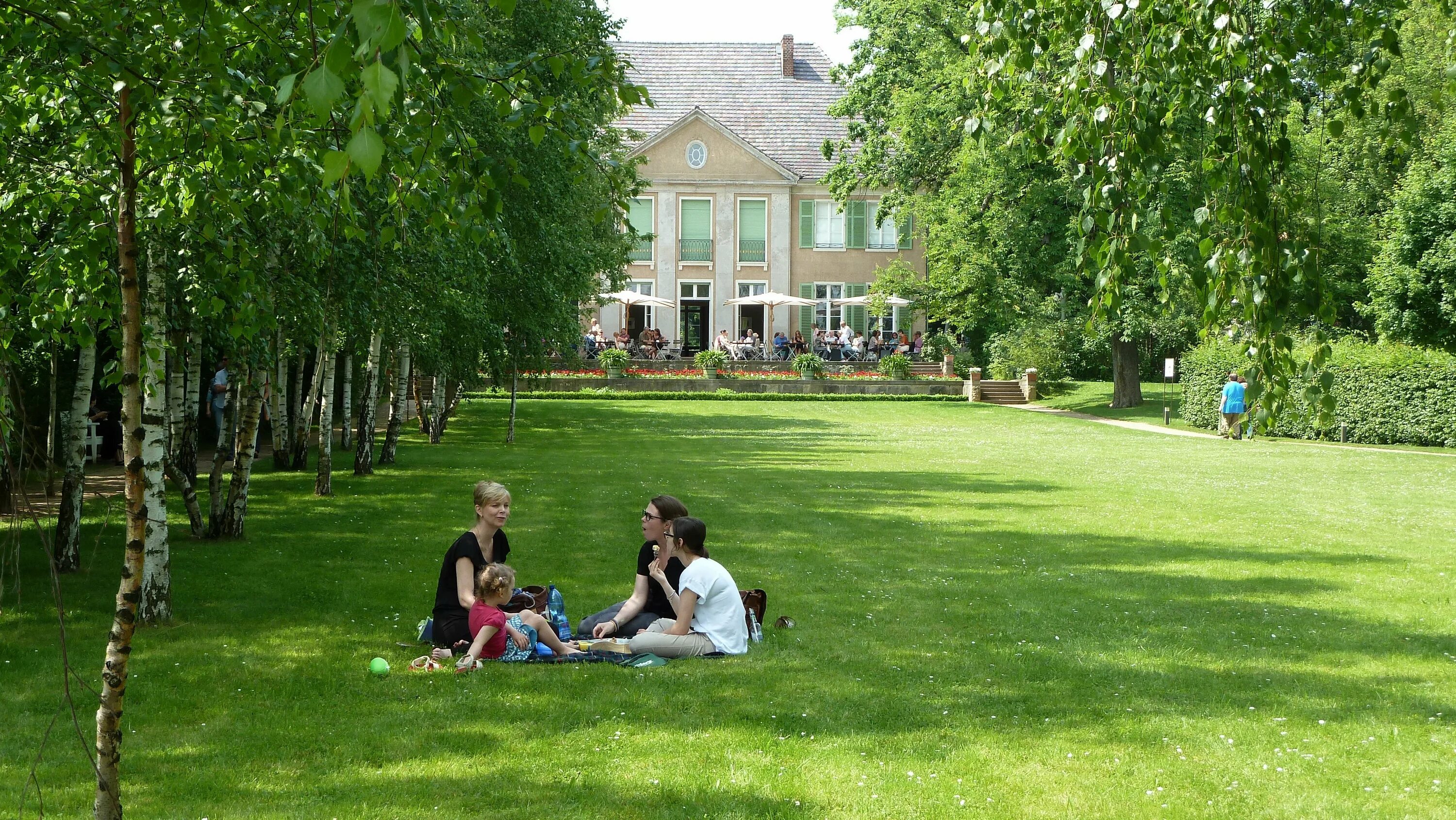 She s in the park. Парк США пикник на лужайке. Люди на лужайке в парке. Парк с людьми. Газон в сквере.