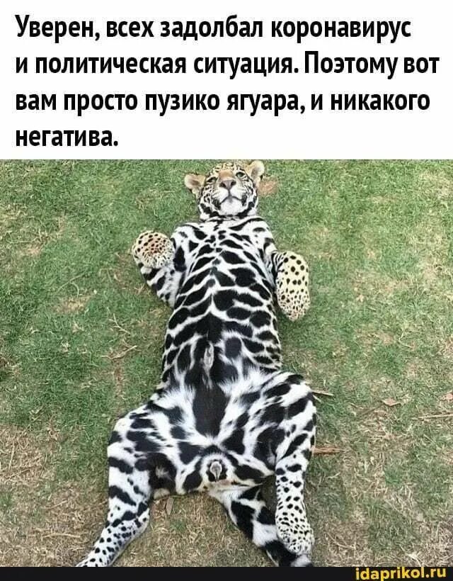 Коронавирус выявили. Вирус covid-19. Маленькая девочка с открытым ртом. Индийский штамм коронавируса симптомы. Симптомы штаммов коронавируса.