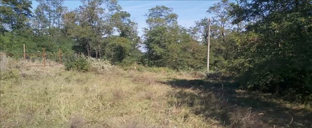 лазоревый переулок 2 ростов на дону суворовский. лазоревый 30 волгодонск. 0 бтс. лазоревый 2 ростов на дону. лазоревый 2 ростов на дону.