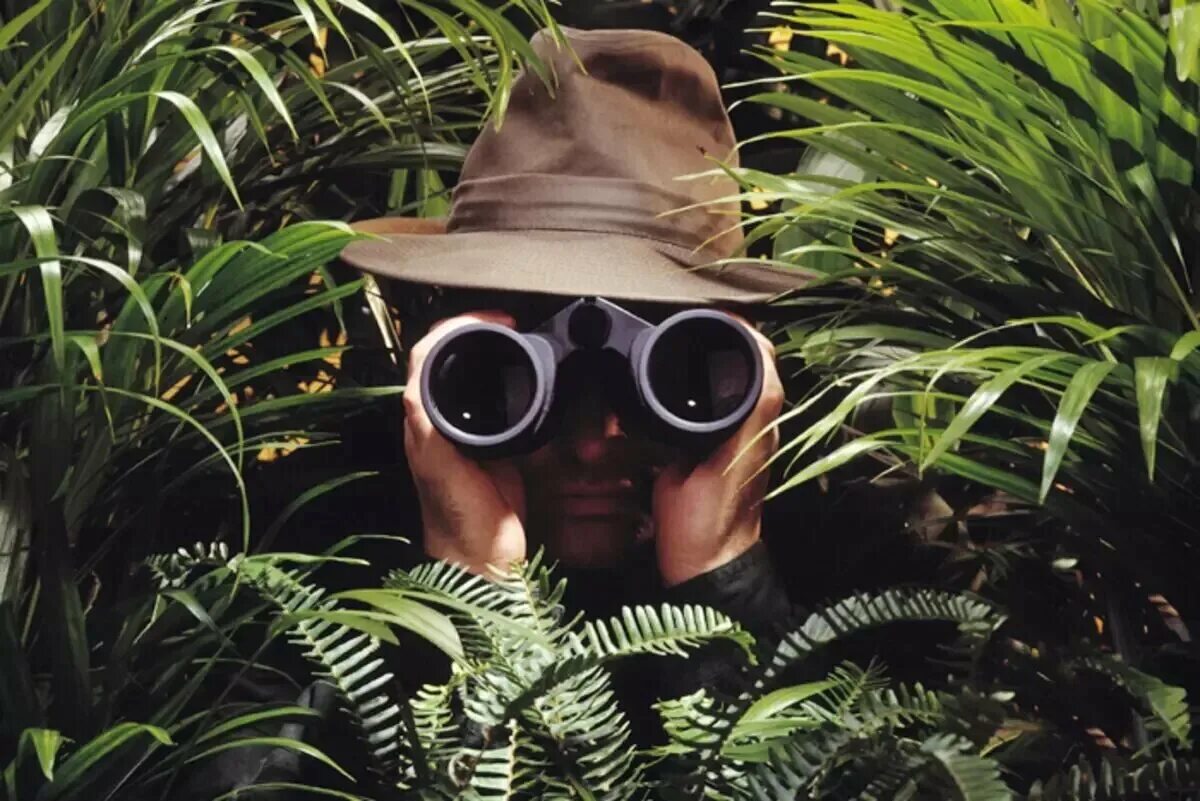 Агент разведчик