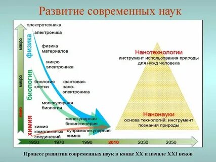 Наука в современном обществе виды наук