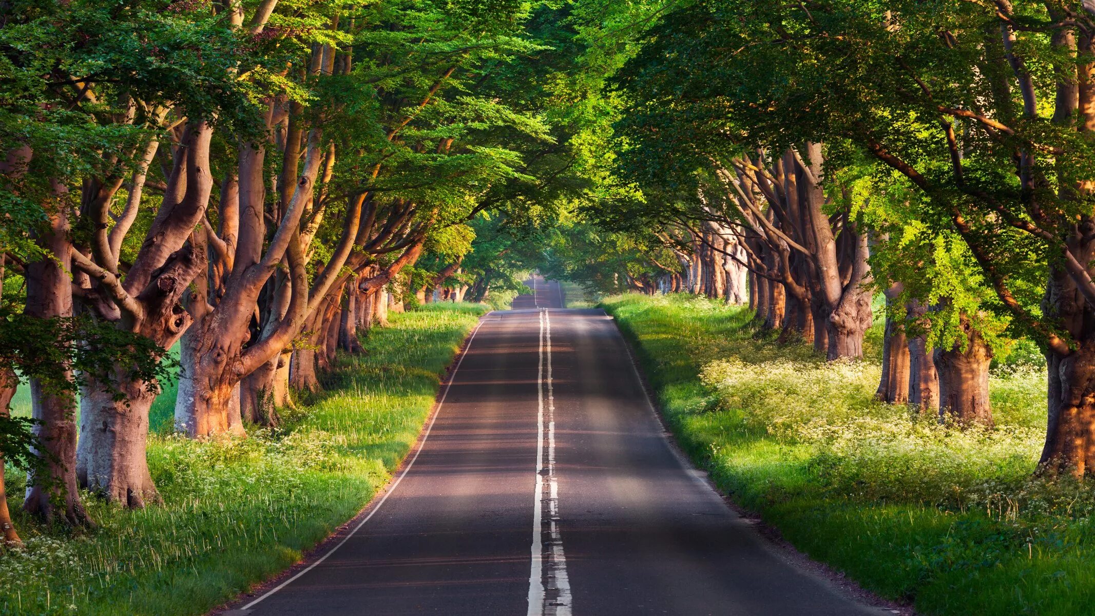 C full path