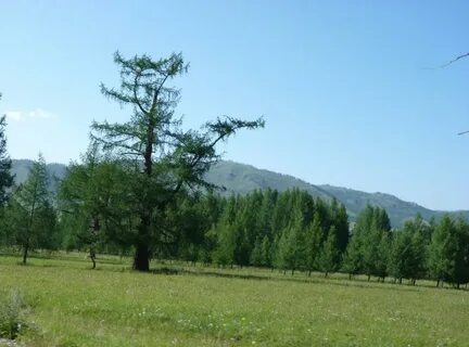 Погода с тюдрала усть канский