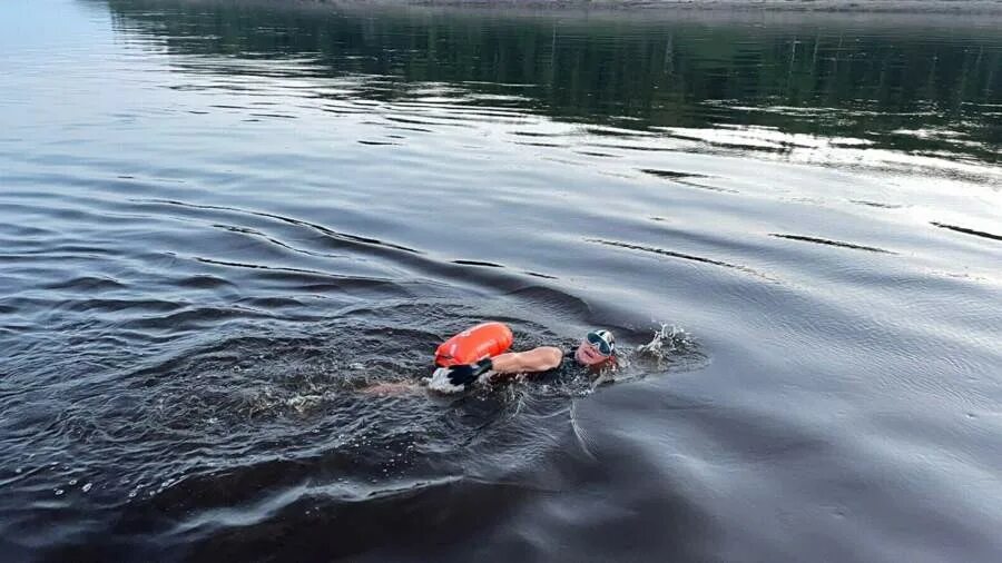 Плыть в холодной воде. Енисей под водой. Заплыв 6 км. Заплыв 800 метров Красноярск.