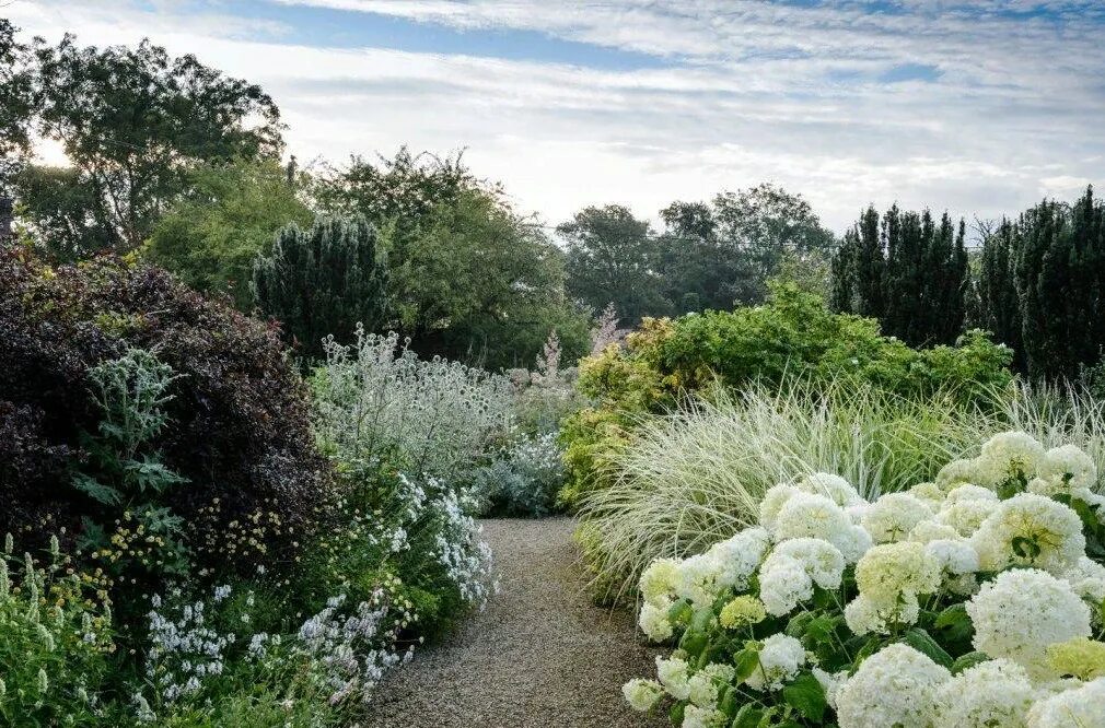 Ландшафт сада в белом цвете. Один раз в год сады цветут ноты. Стихи про яблоневый цвет. Стихи о цветущих садах. Миксбордер монохромный.
