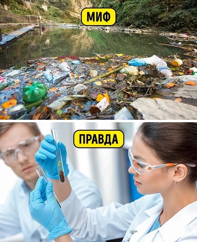 Мифы и реальность. Предание о животных. Легенды о животных 2 класс окружающий мир. Легенды и мифы о животных. Бхагават гитта реинкарнация.