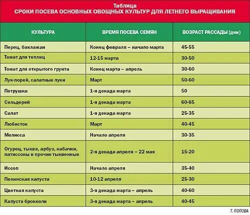 Какую температуру выдерживает рассада огурцов. Таблица высадки овощей на рассаду. Таблица посева семян овощных культур. Сроки высадки семян на рассаду таблица. Таблица овощей для высадки в грунт.