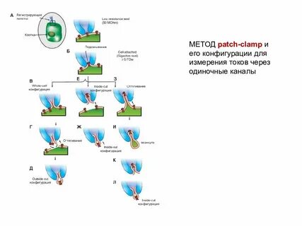 Patch method