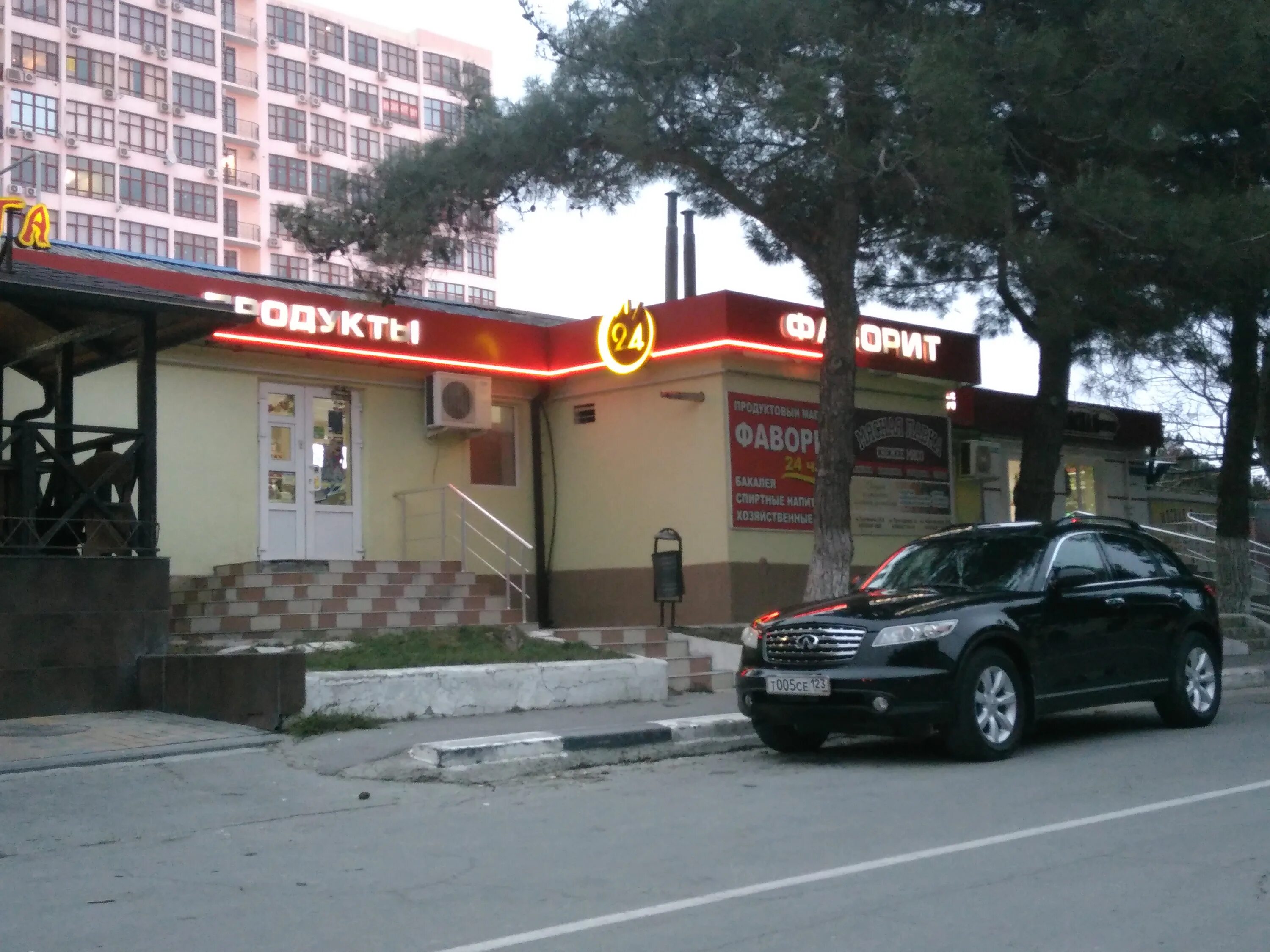Тургенева 24а. Тургенева 24а