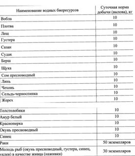 Форель без нормы вылова