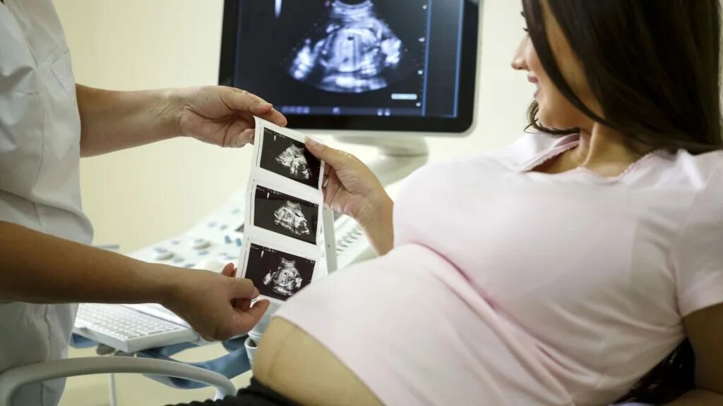 УЗИ. Ультразвуковое исследование беременных. УЗИ по беременности. Беременность узи недели беременности видео