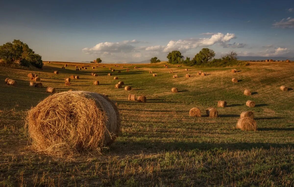 Алтай осень поле стог сена. Поля клубок. Поля клубок. Поля клубок. Красивая пряжа.