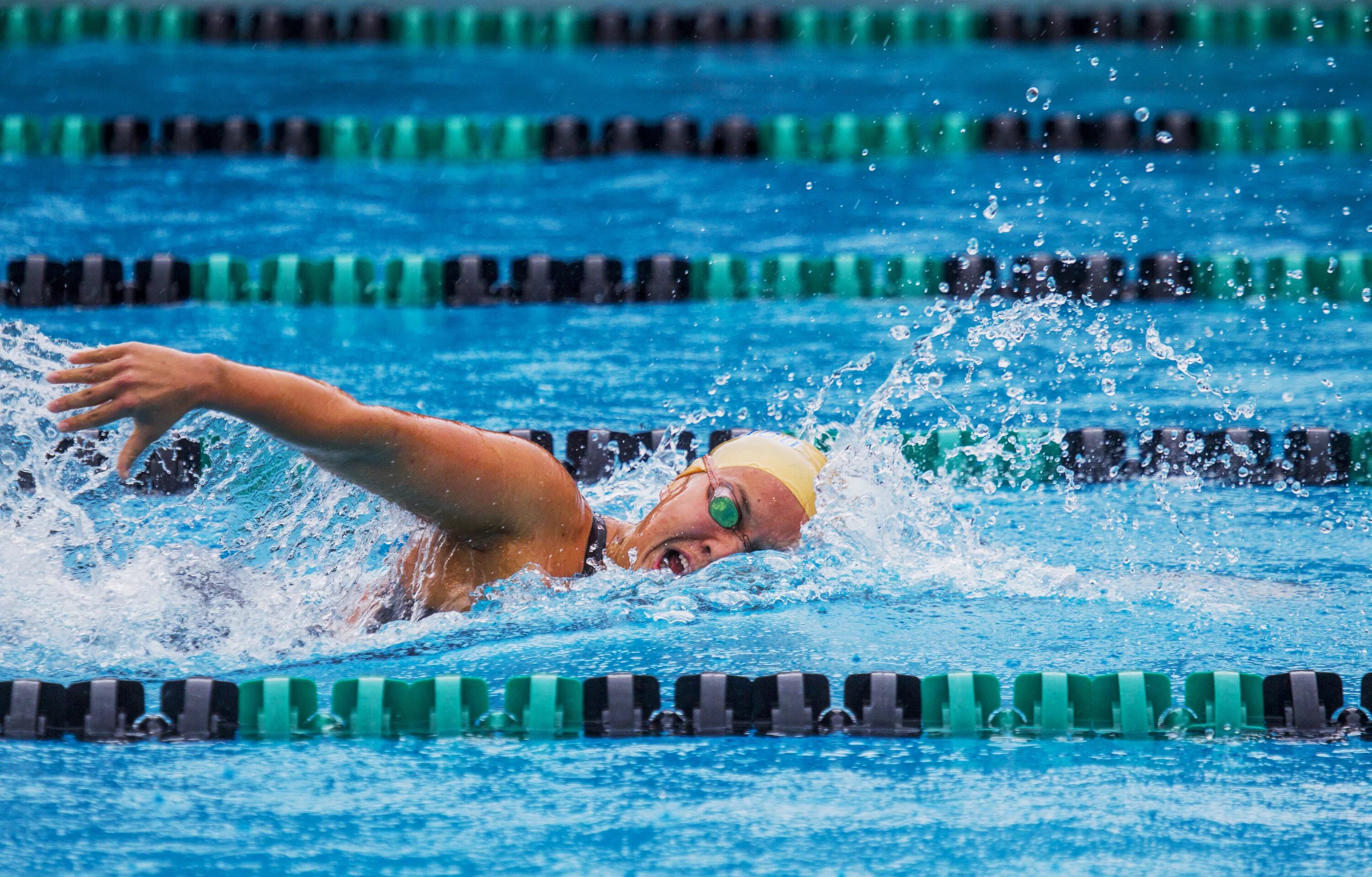 Woodland swim. Swim states. Пловцы олимпийские чемпионы. Swim states. Система соревнований в плавании.