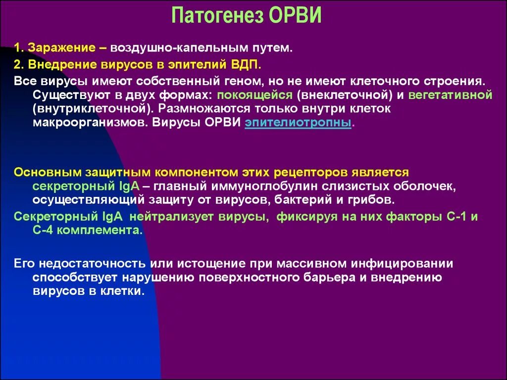 Патогенез ОРВИ. ОРВИ этиология патогенез. Патогенез респираторных вирусных инфекций. Механизм развития вирусных инфекций. Орви у взрослых клинические