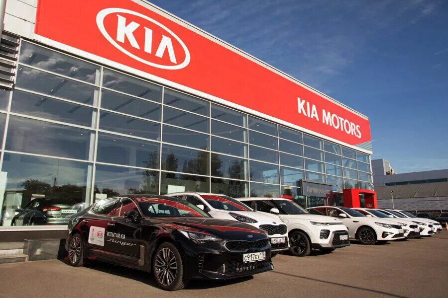 Kia 2023 дилер. Стерлитамак автосалон Кио Киа. Дилерский центр Kia. Киа салон. Киа центр сайт