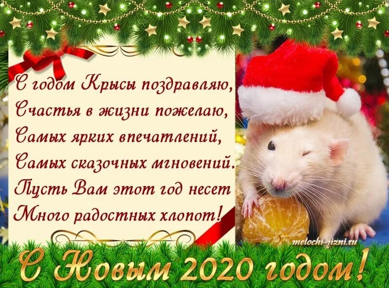 С новым годом поздравления красивые. Пусть год будет легким и. Пожелания здоровья с снеговиком. Скоро новый год пусть. Пусть новый год будет лучше прежнего.