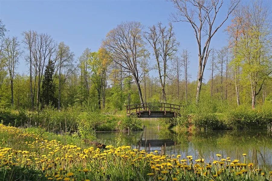 Майский день. Тихий Майский день. Майский день фото. Майский день фото природы. Майский день слушать