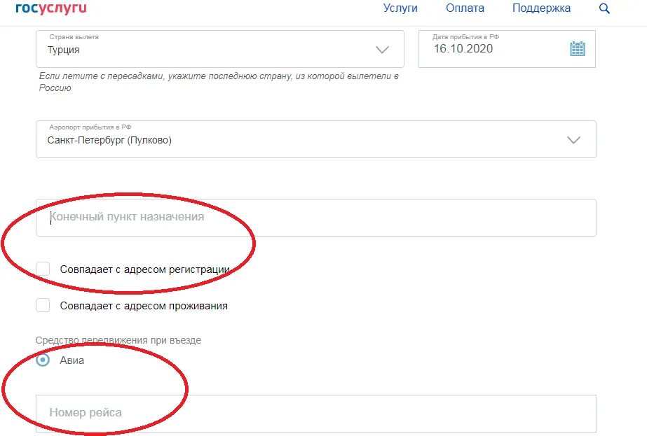 Госуслуги рф анкета. Анкета госуслуги. Как заполнить анкету на госуслугах. Образец заполнения анкеты на госуслугах. Номер рейса в анкете на госуслугах.