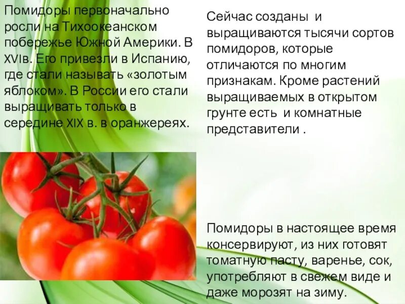 Дары нового света биология. Дары старого и нового света 6 класс. Дары старого и нового света доклад.