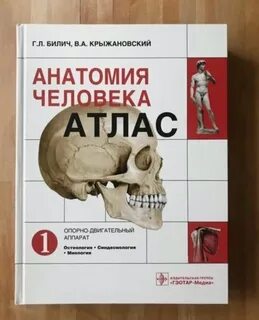 Атлас анатомия человека том 1 билич