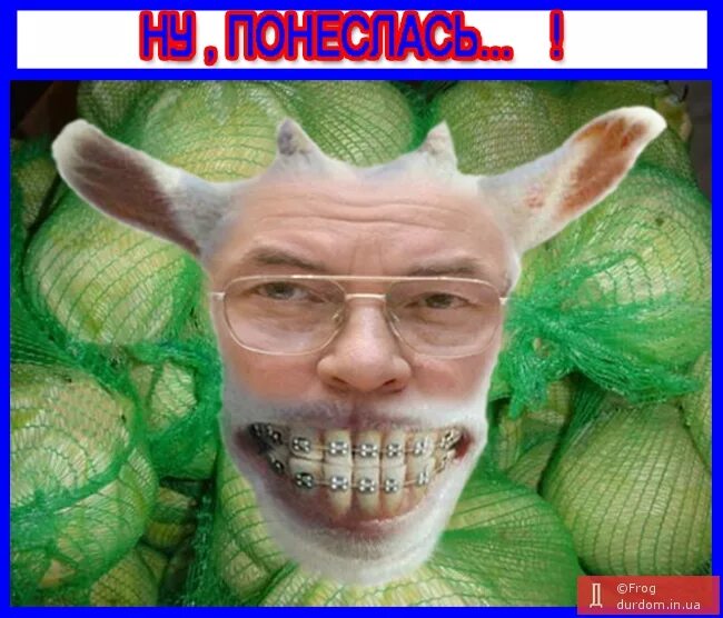 Кровосися. Кровосися мемы. Мемы про капусту. Кровосиси смешные картинки. Кровосися прикол