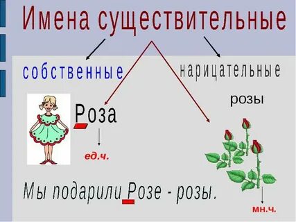 Число сущ 3 класс презентация