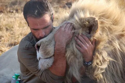 Wildlife work