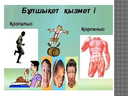 Мен тән