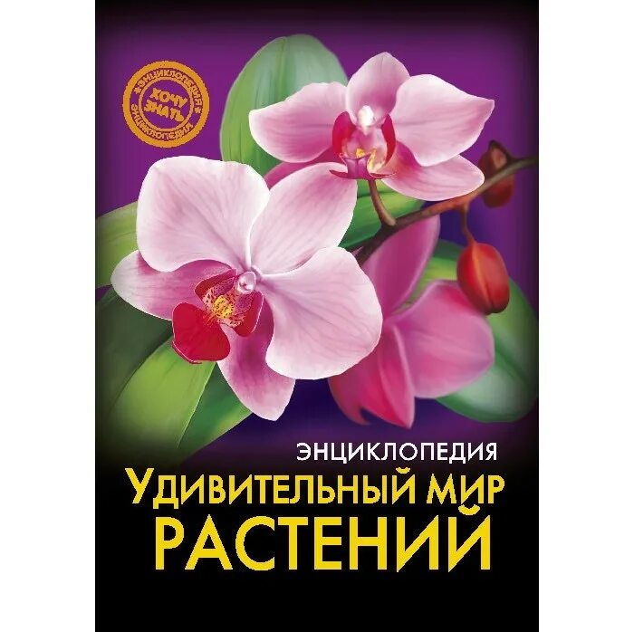 Я познаю мир удивительные животные. Животные удивительная энциклопедия дисней. Удивительные факты. Удивительный мир энциклопедий. Удивительный мир энциклопедий.