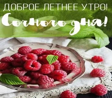Красивое летнее утро картинки с надписями