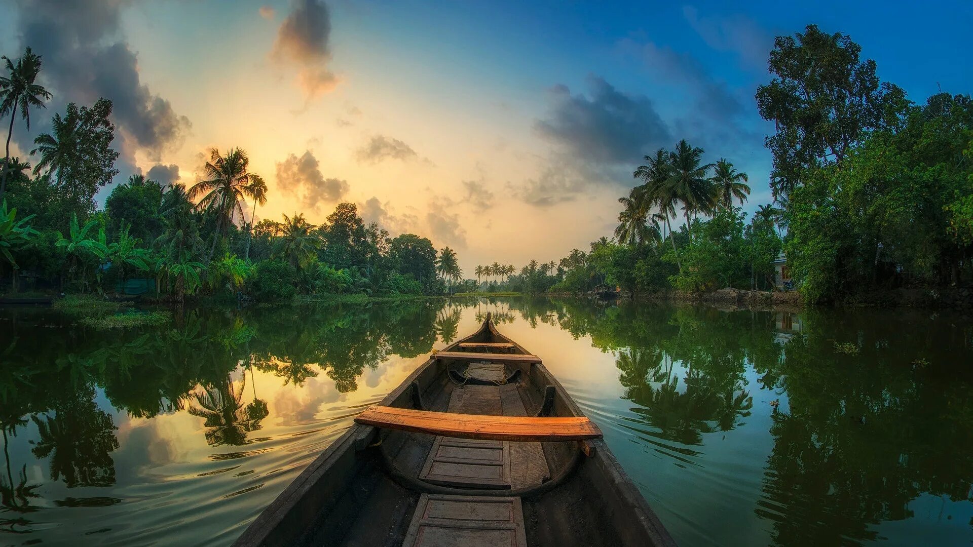 Jungle river