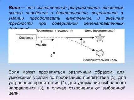 Воля это сознательное регулирование человеком