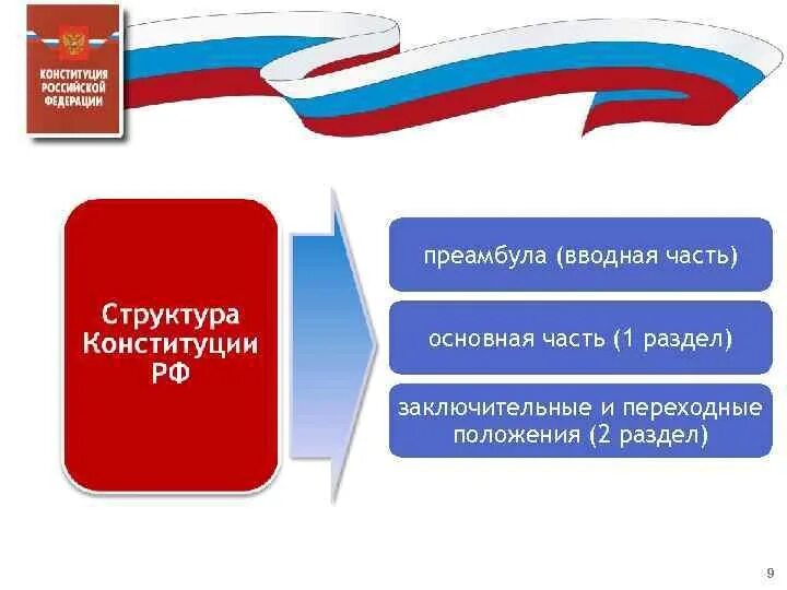 Какую конституцию выбрали