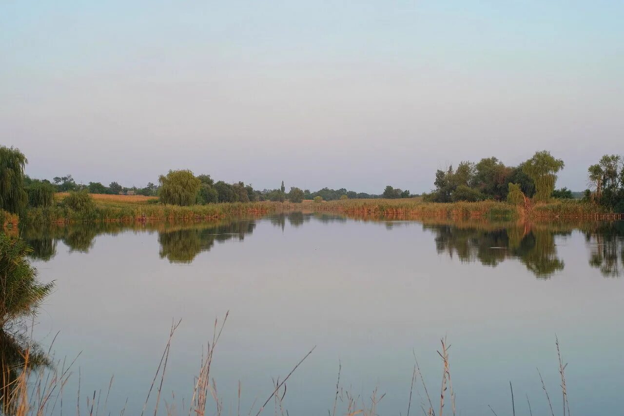 Станица 8. Станица днепровская тимашевского района краснодарского края. Натухаевская станица гостагаевская станица. Станица марьянская школа 8. Школа номер 8 краснодар станица марьянская.